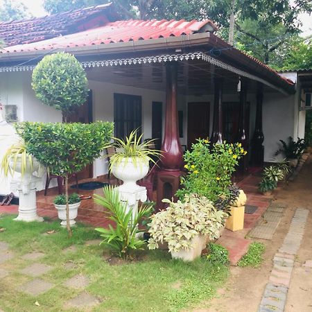 Malee Homestay Polonnaruwa Zewnętrze zdjęcie