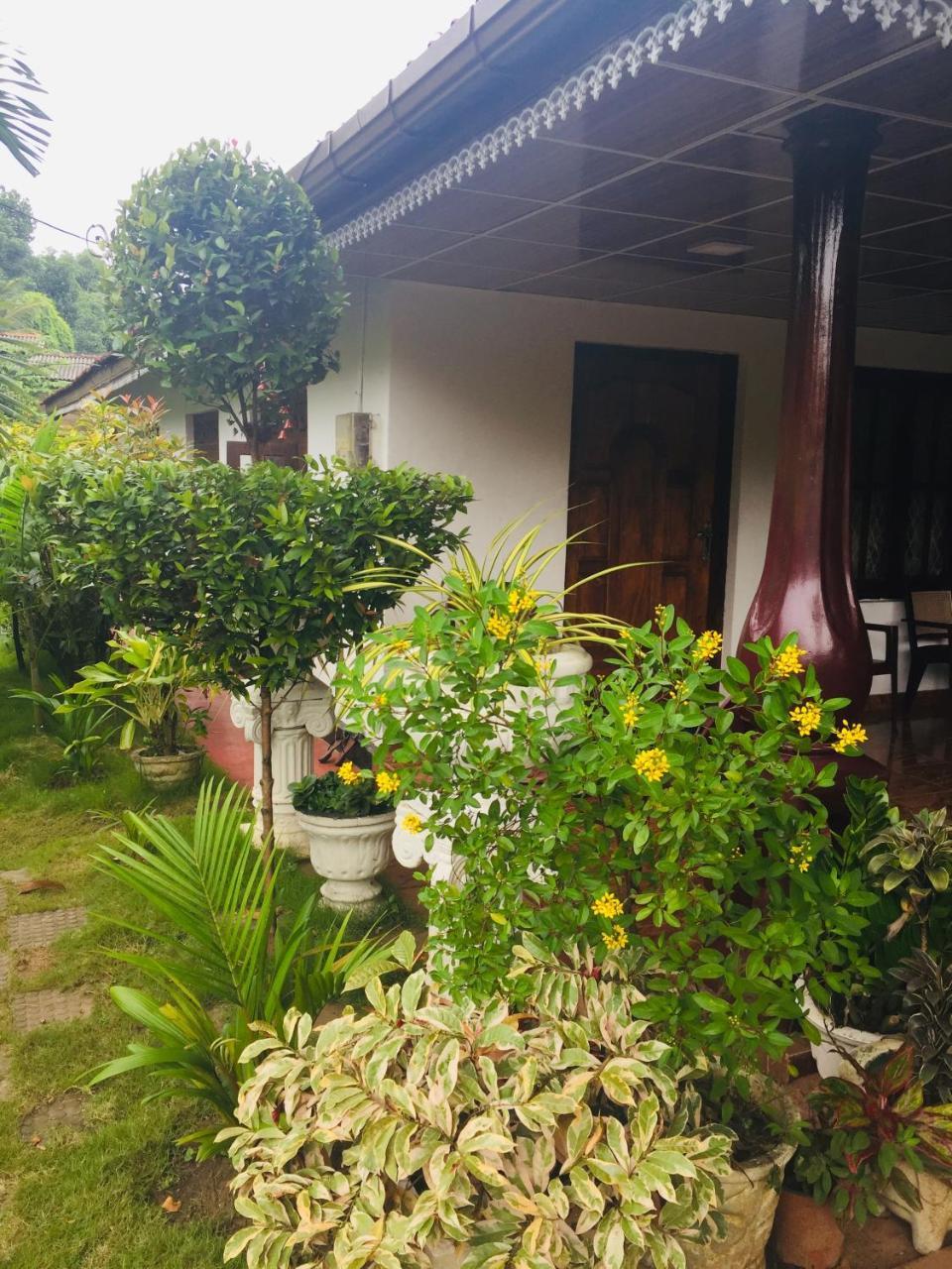 Malee Homestay Polonnaruwa Zewnętrze zdjęcie